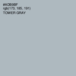 #ADB9BF - Tower Gray Color Image
